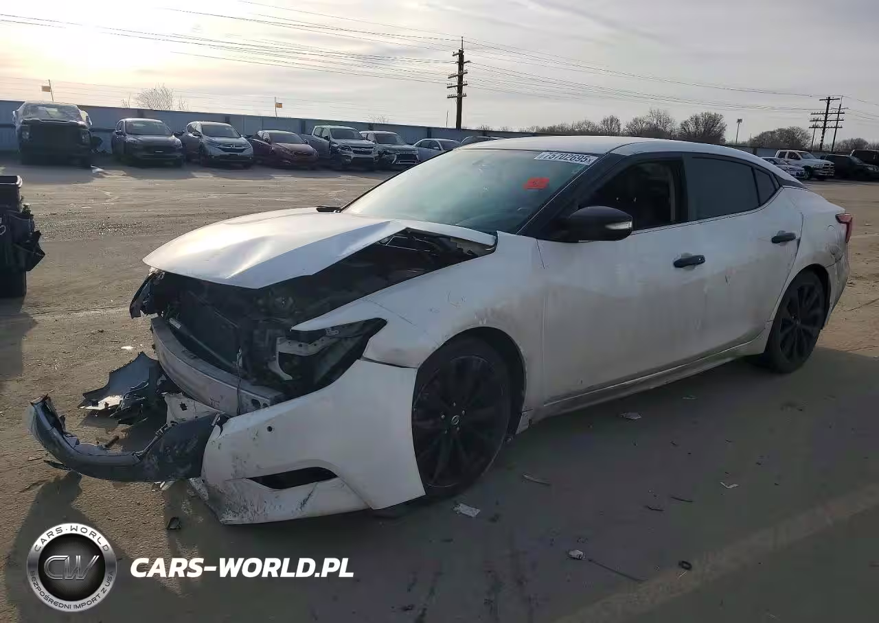 2016 Niss Maxima