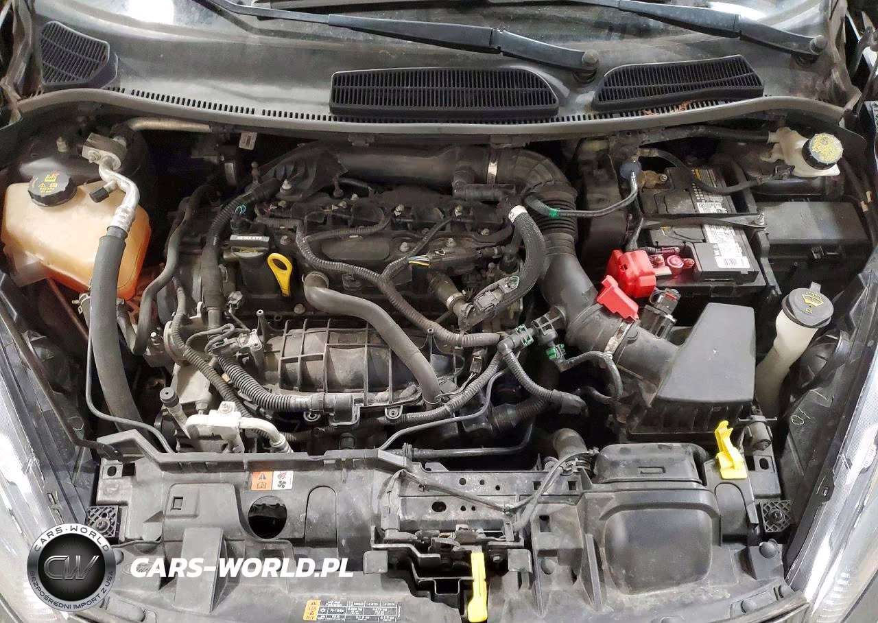 2018 Ford Fiesta St VIN:3FADP4GX8JM123699 - 11