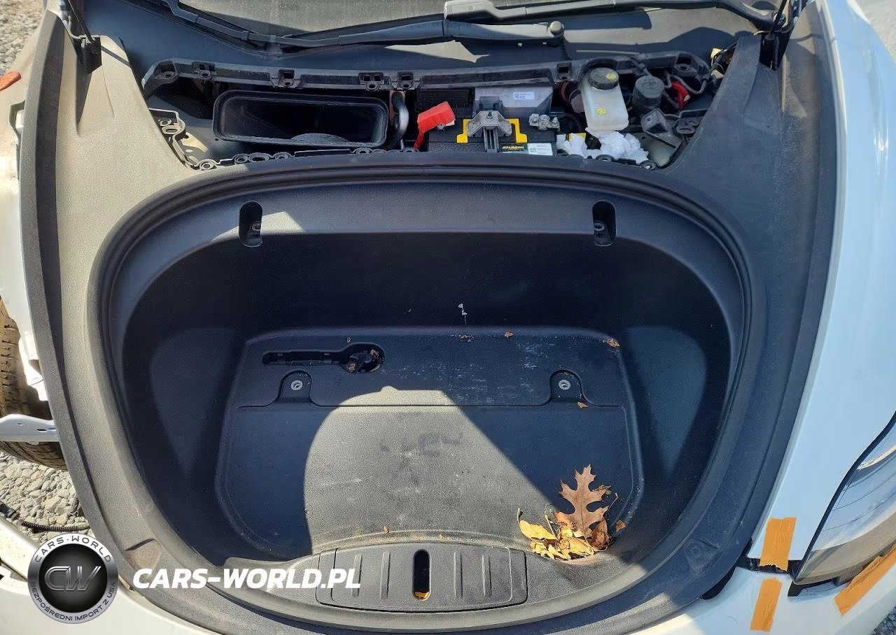 2020 Tesla Model 3 VIN:5YJ3E1EA9LF597953 - 11