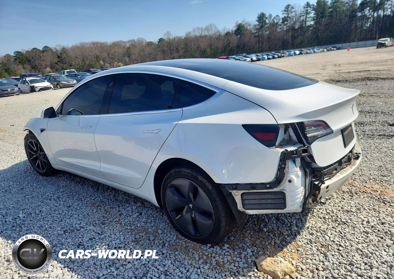 2020 Tesla Model 3 VIN:5YJ3E1EA9LF597953 - 2