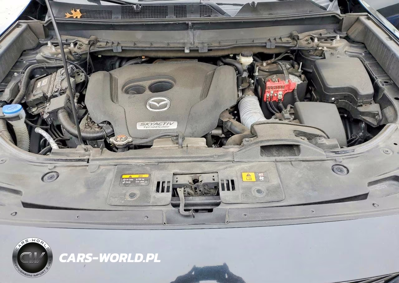 2019 Mazda Cx-9 Sport VIN:JM3TCABY4K0321465 - 12