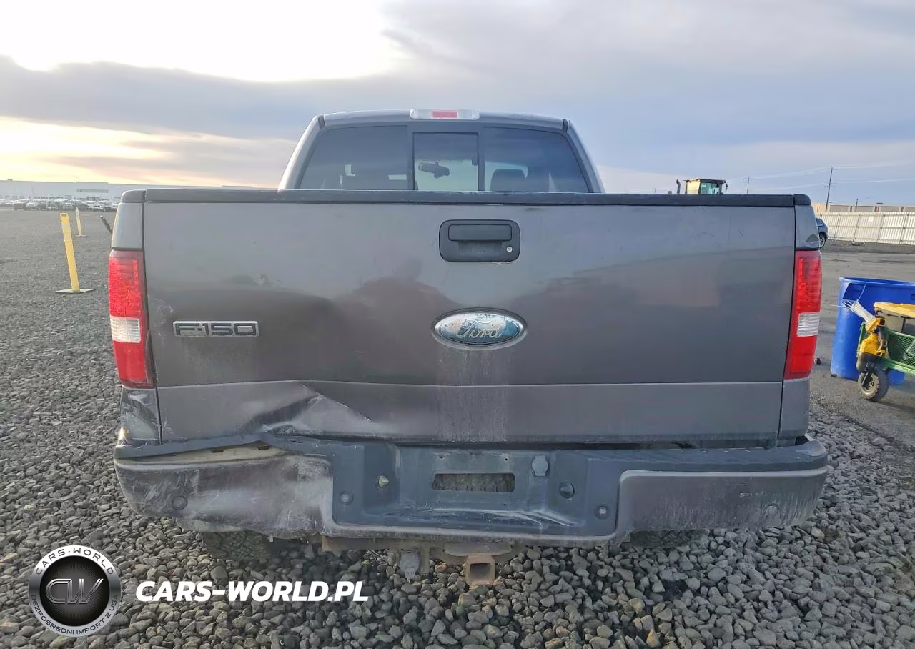 2006 Ford F150 VIN:1FTPX14V46KC22382 - 6