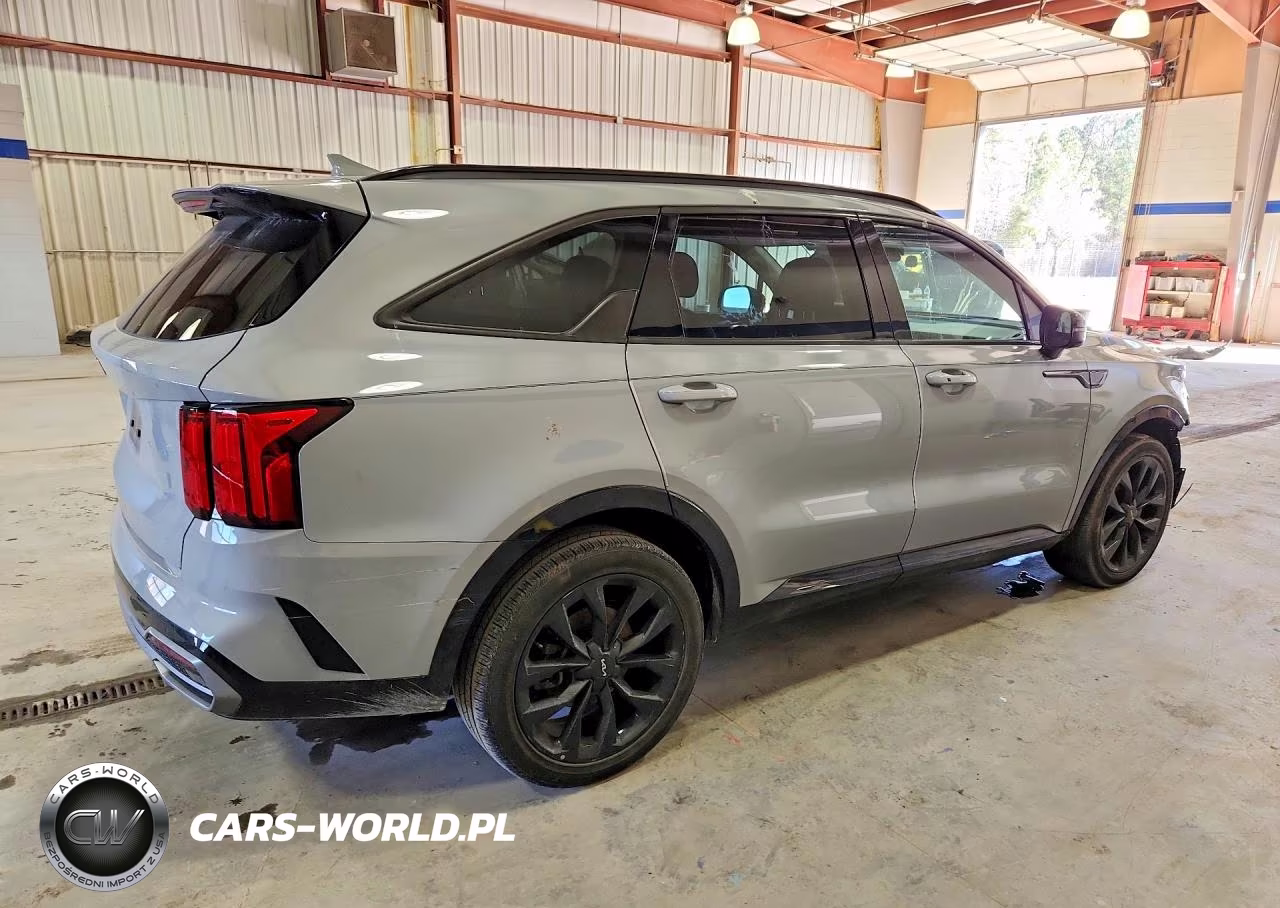 2023 Kia Sorento Sx VIN:5XYRK4LF7PG205554 - 3