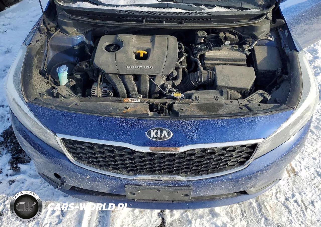 2018 Kia Forte VIN:3KPFK4A72JE236049 - 11