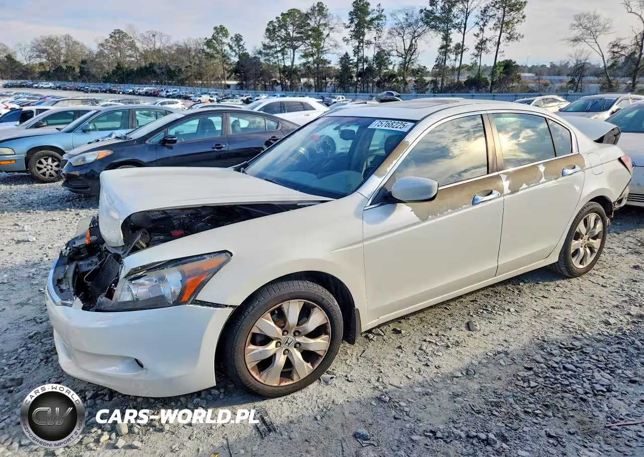 2010 Honda Accord Exl