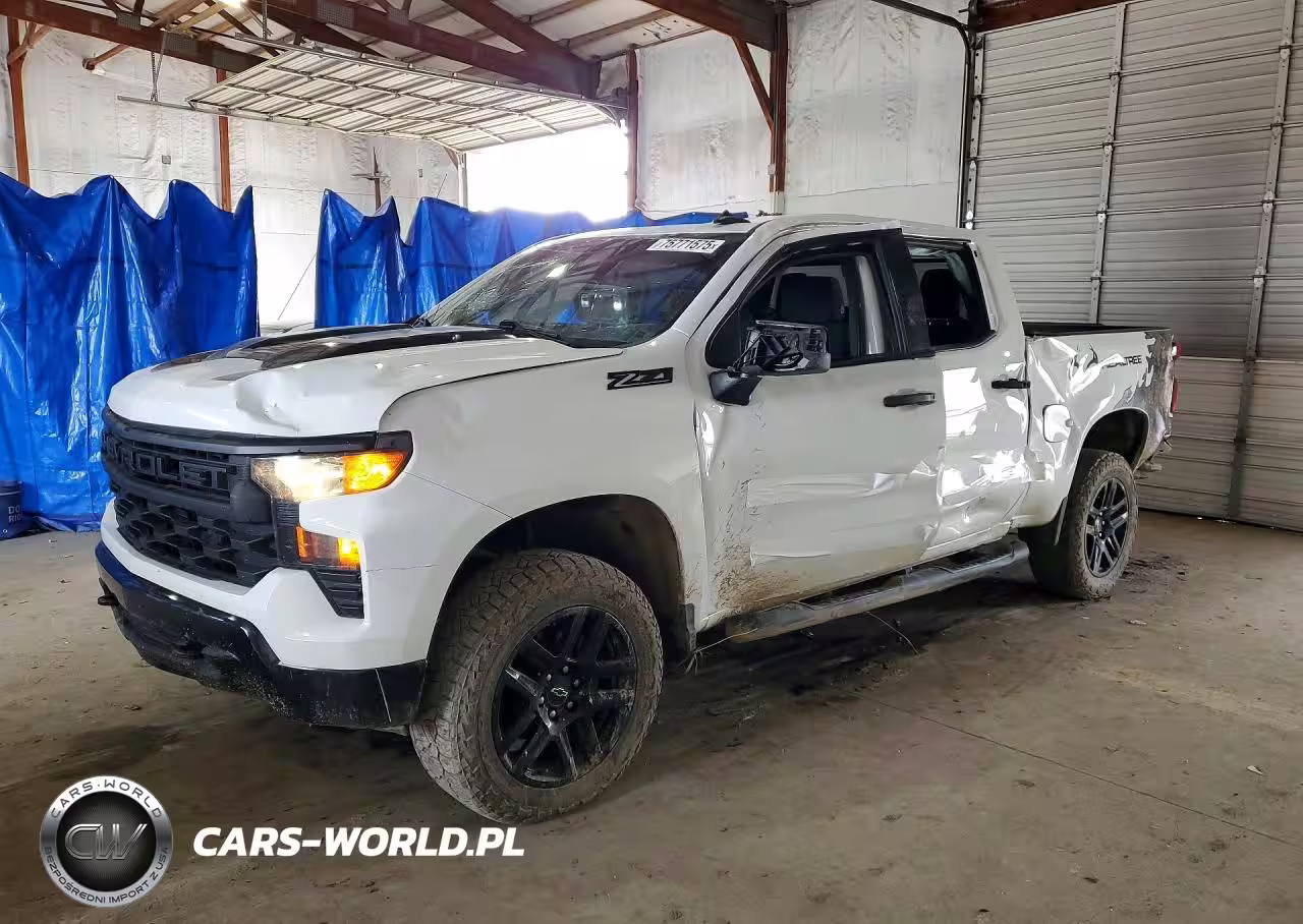 2022 Chevrolet Silverado K1500 Trail Boss Custom