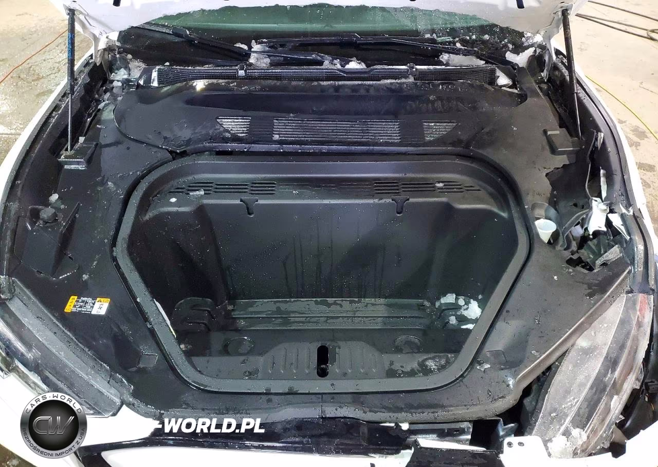 2024 Ford Mustang Mach-E Premium VIN:3FMTK3SUXRMA08959 - 12