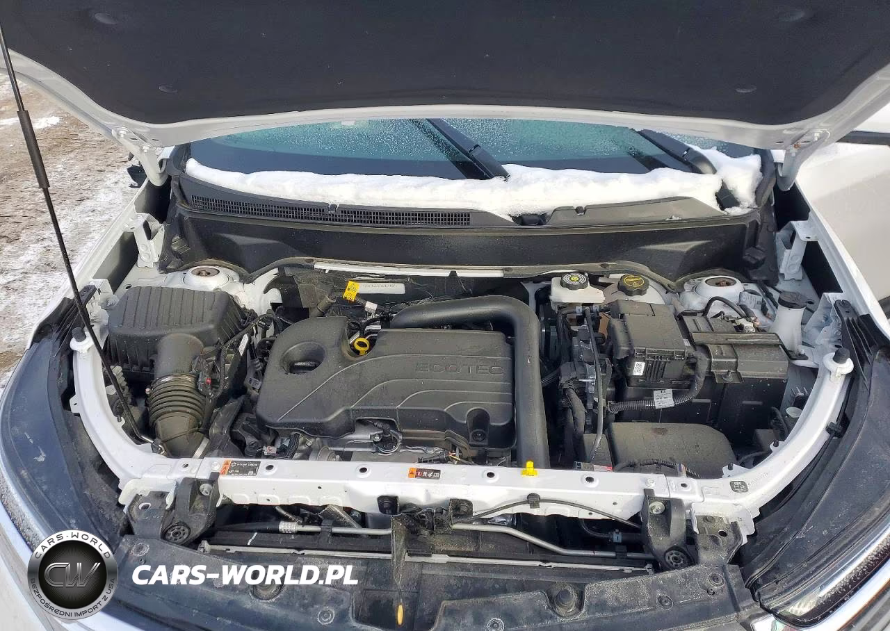 2024 Chevrolet Equinox Lt VIN:3GNAXUEG4RL309037 - 12
