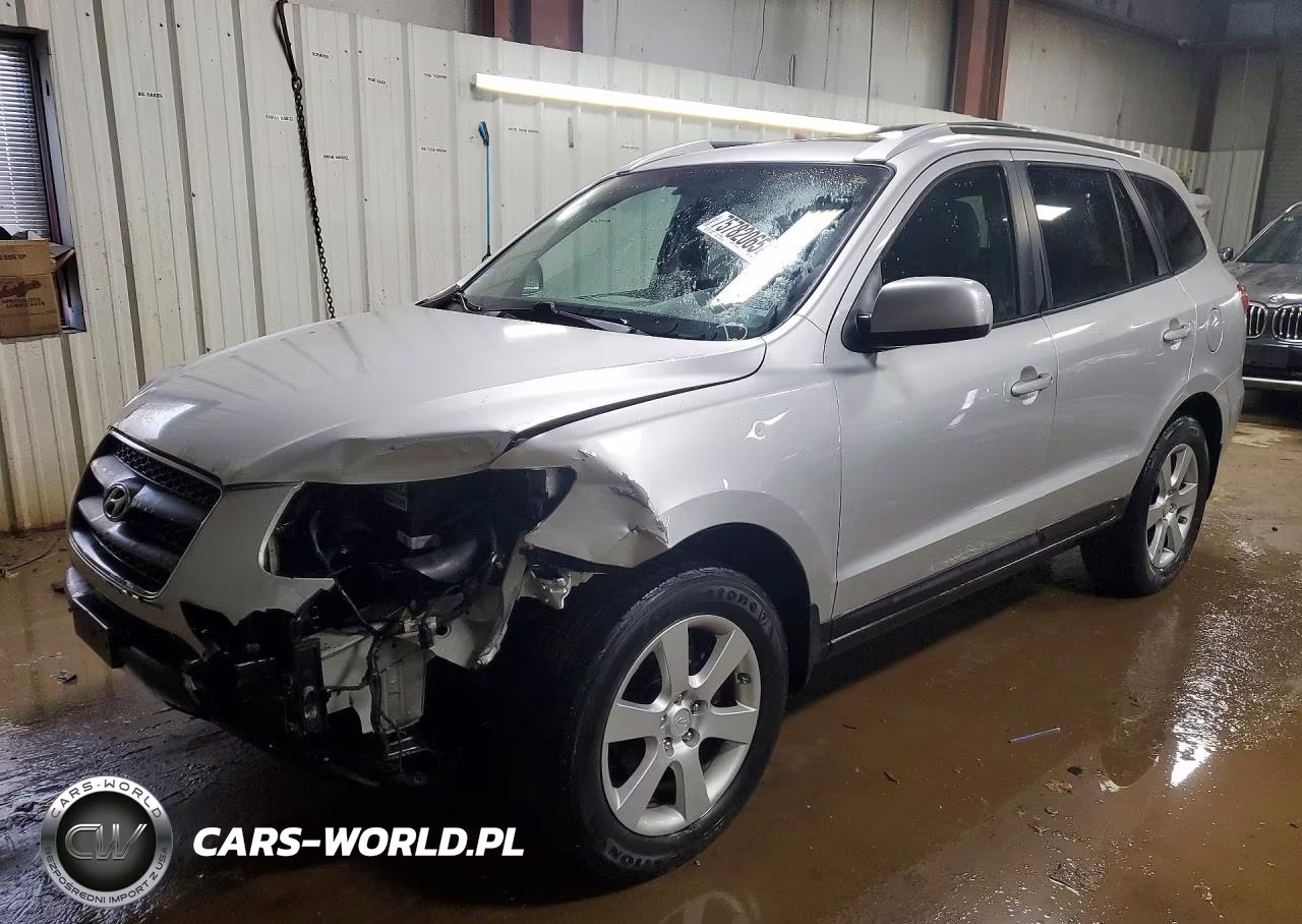 2007 Hyundai Santa Fe Se-Limited