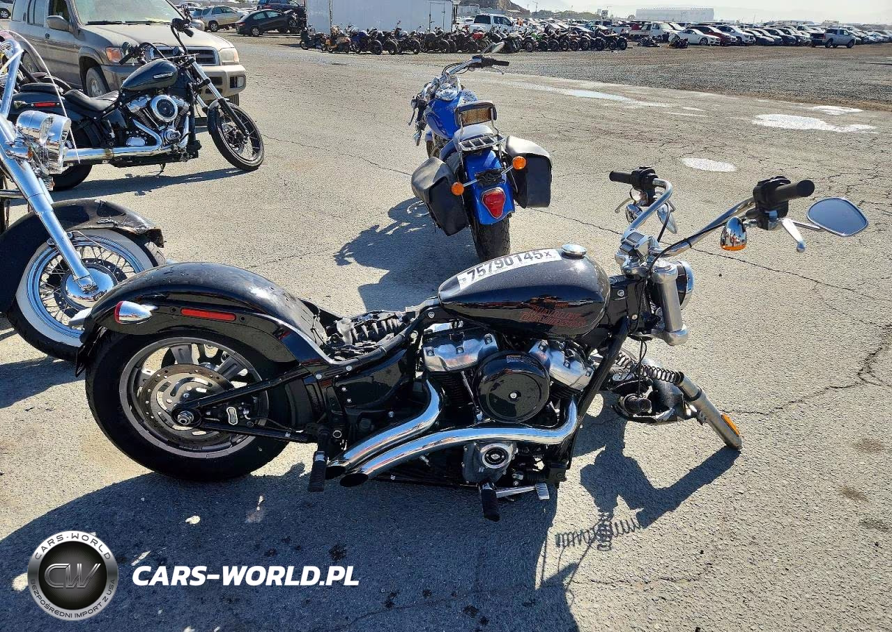 2024 Harley-Davidson Fxst