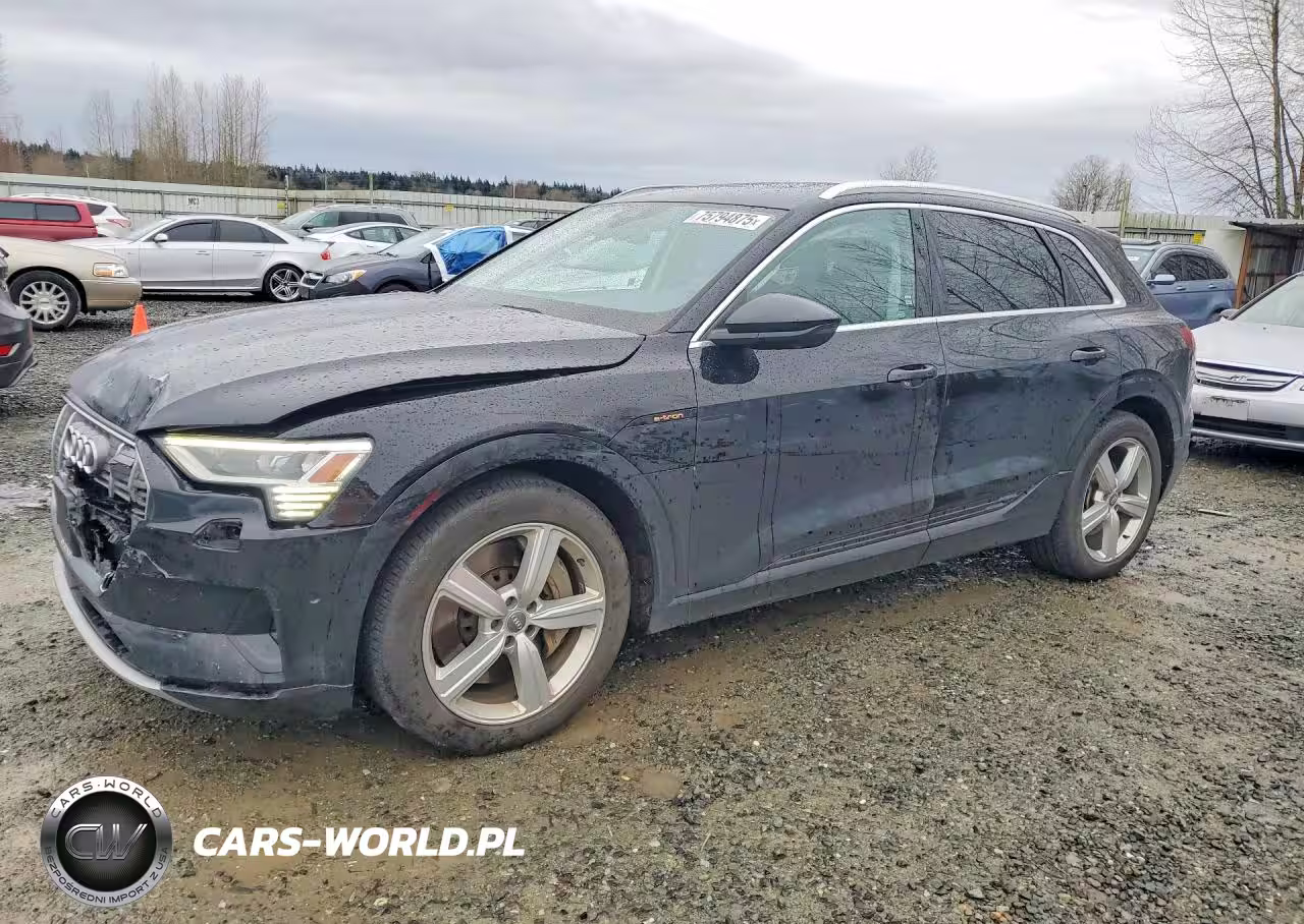 2019 Audi E-Tron Premium Plus