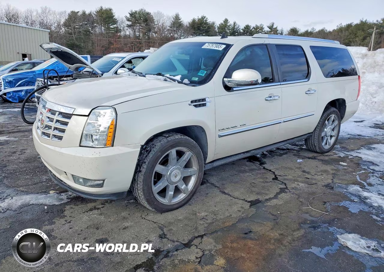 2010 Cadillac Escalade Esv Premium