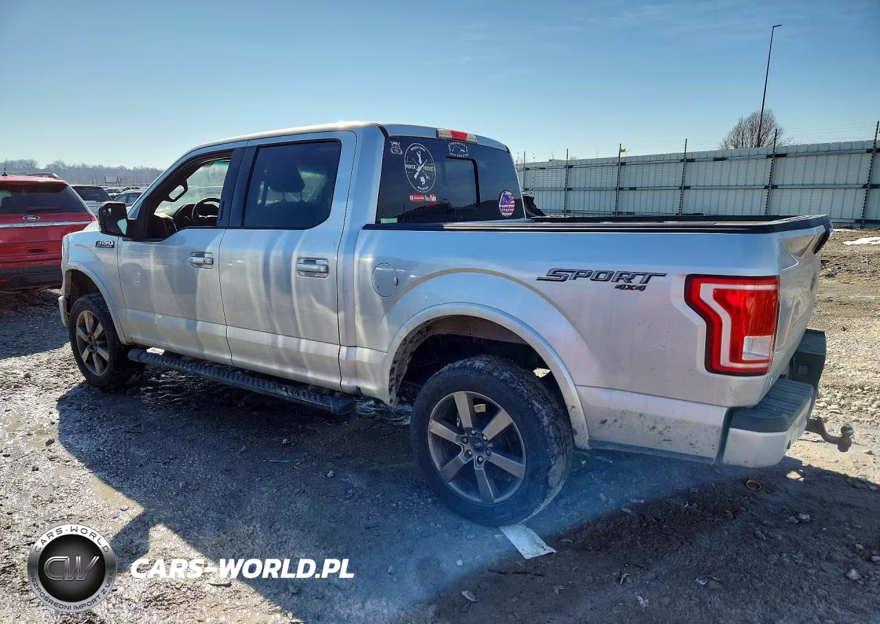 2015 Ford F150 Supercrew VIN:1FTEW1EG5FKF03875 - 2