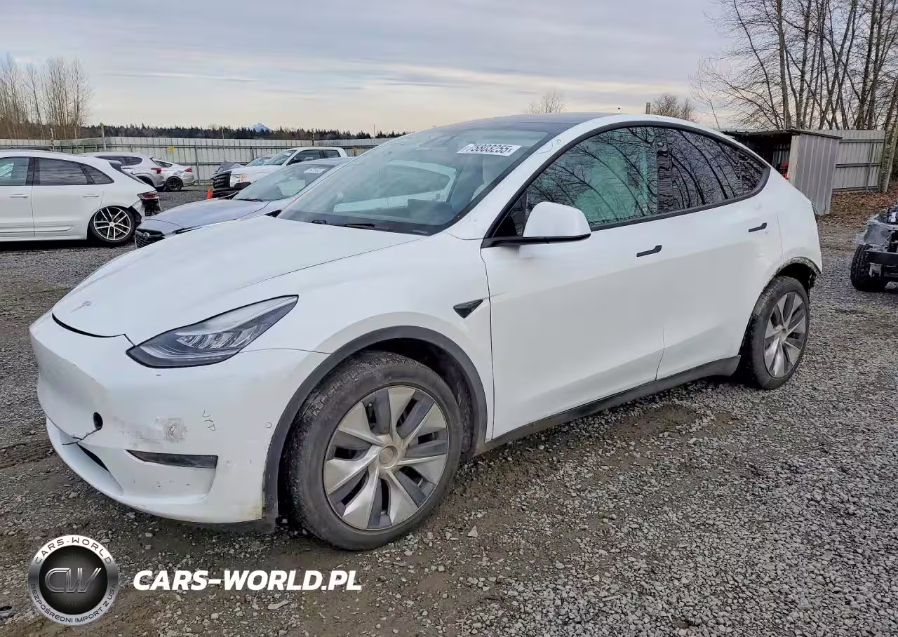 2020 Tesla Model Y