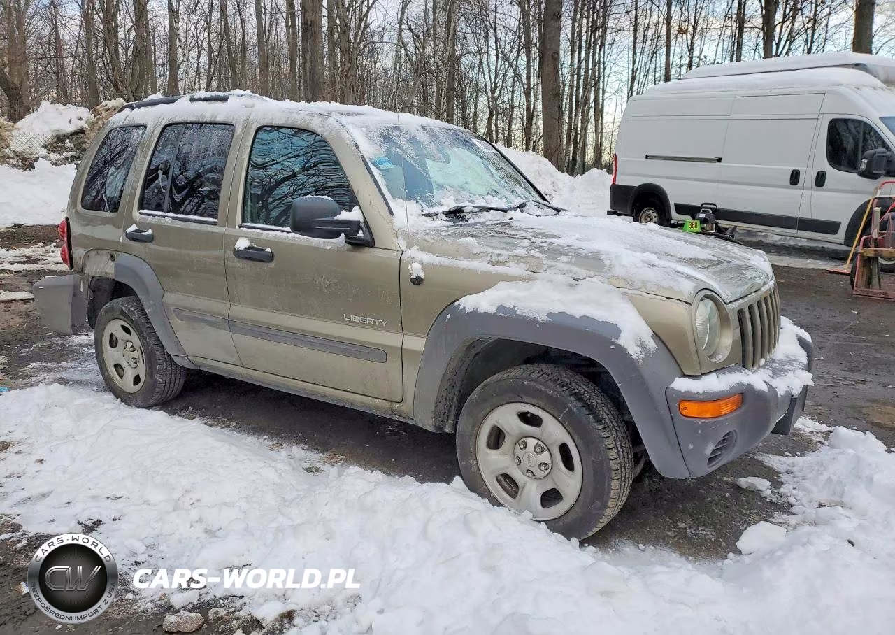 2004 Jeep Liberty Sport VIN:1J4GL48K84W247699 - 4