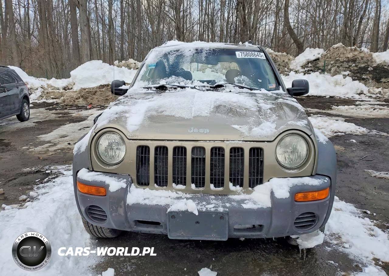 2004 Jeep Liberty Sport VIN:1J4GL48K84W247699 - 5