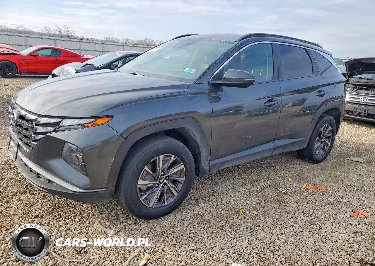 2022 Hyundai Tucson Blue