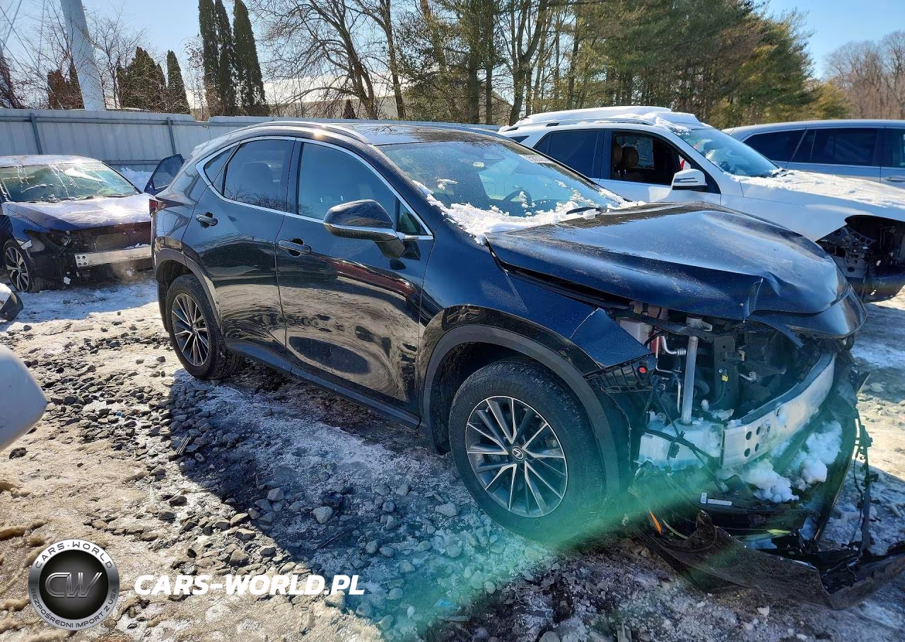2022 Lexus Nx 350 VIN:2T2GGCEZ7NC011914 - 4