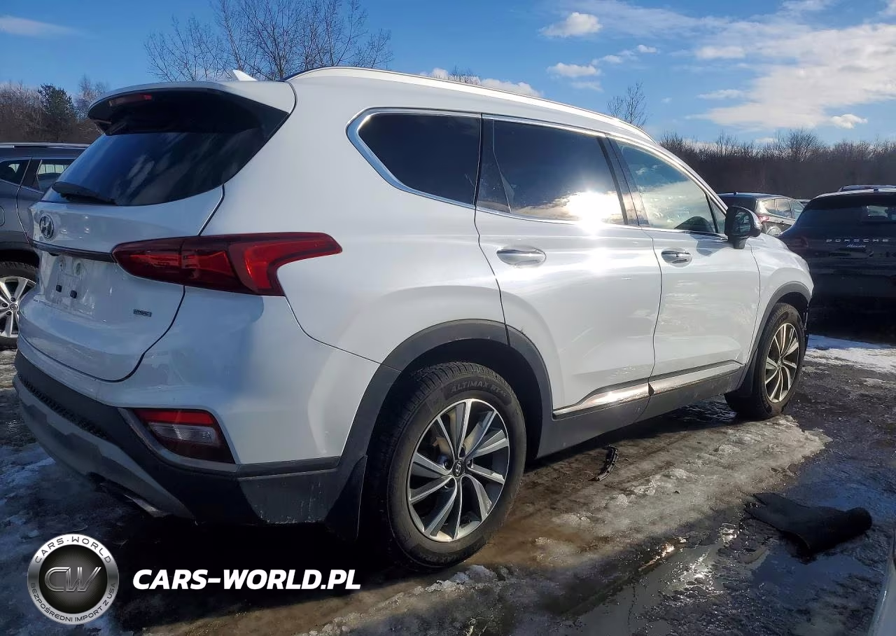 2020 Hyundai Santa Fe Limited VIN:5NMS5CAD3LH150606 - 3