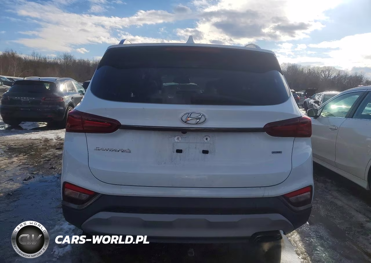 2020 Hyundai Santa Fe Limited VIN:5NMS5CAD3LH150606 - 6