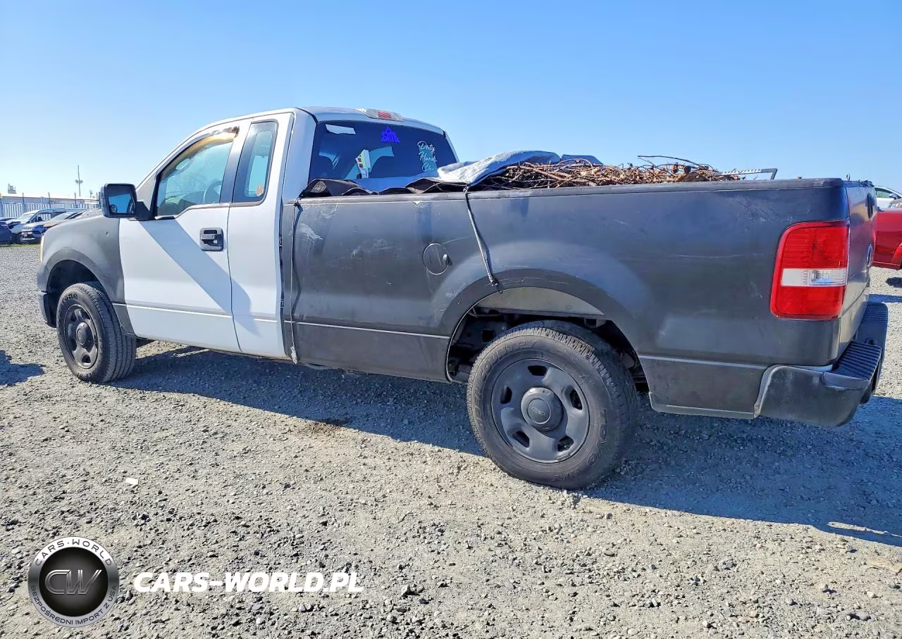 2006 Ford F150 VIN:1FTRF12296NA43838 - 2
