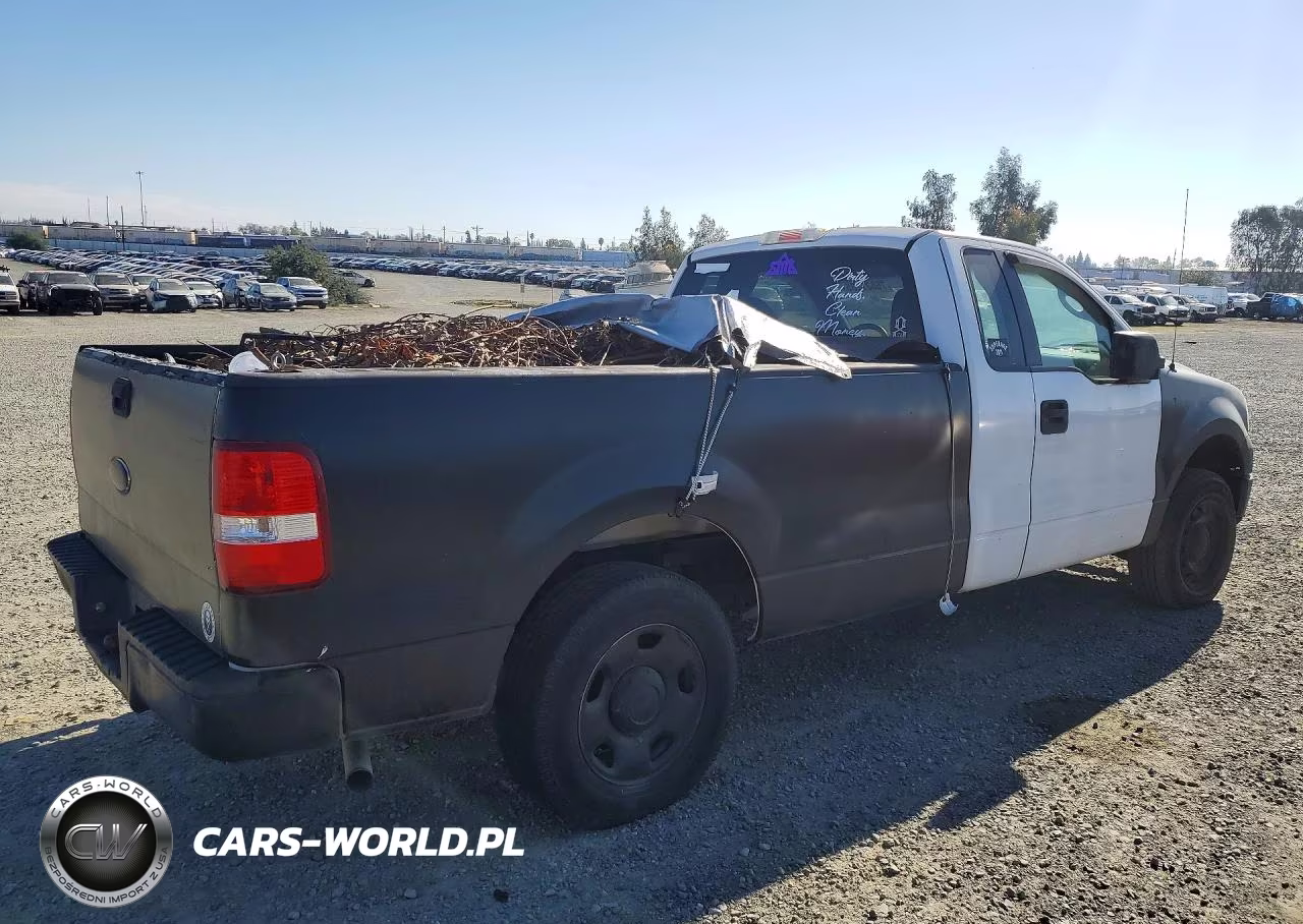 2006 Ford F150 VIN:1FTRF12296NA43838 - 3