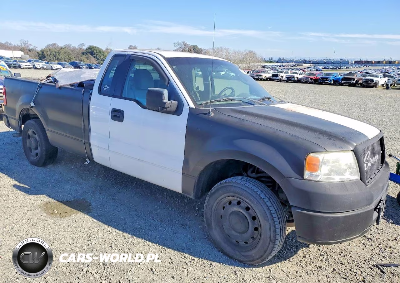 2006 Ford F150 VIN:1FTRF12296NA43838 - 4