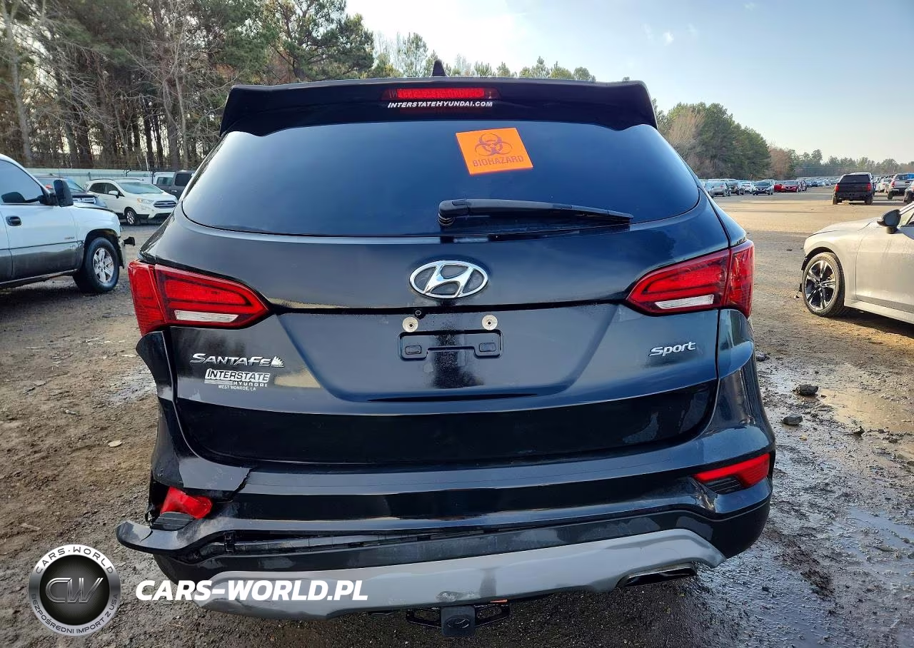 2018 Hyundai Santa Fe Sport VIN:5NMZU3LB5JH100168 - 6