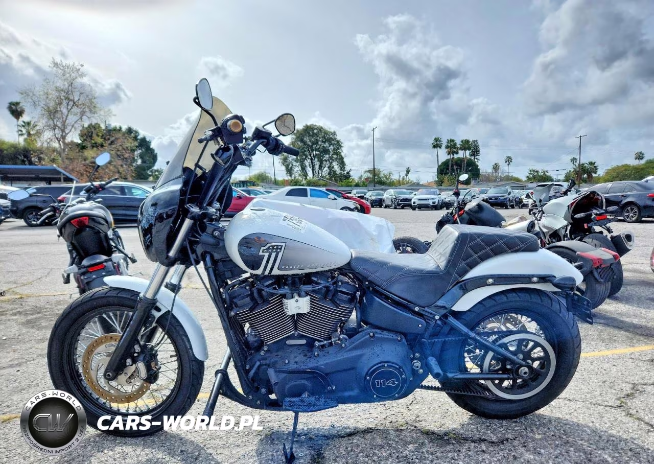 2021 Harley Davidson Fxbbs VIN:1HD1YYK21MB064714 - 3