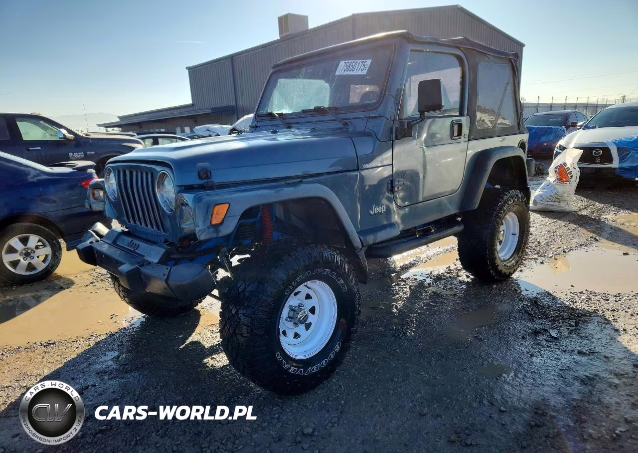 1999 Jeep Wrangler - Tj Se VIN:1J4FY29P8XP463952 - 1