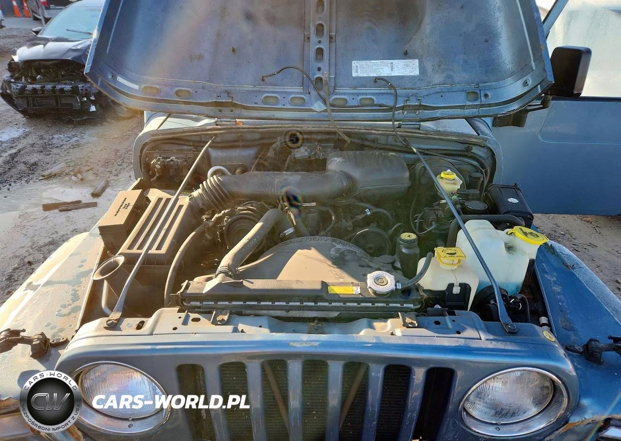 1999 Jeep Wrangler - Tj Se VIN:1J4FY29P8XP463952 - 11