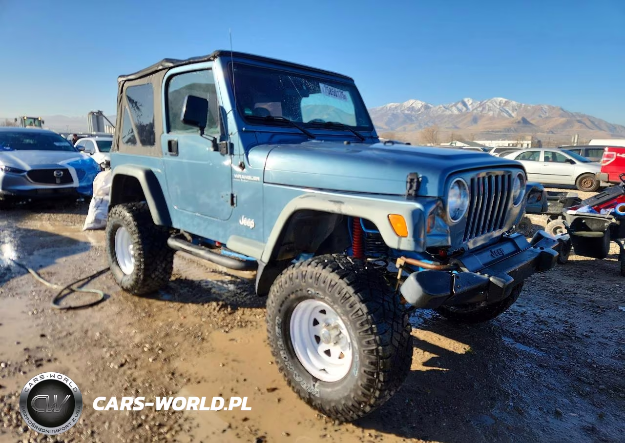 1999 Jeep Wrangler - Tj Se VIN:1J4FY29P8XP463952 - 4