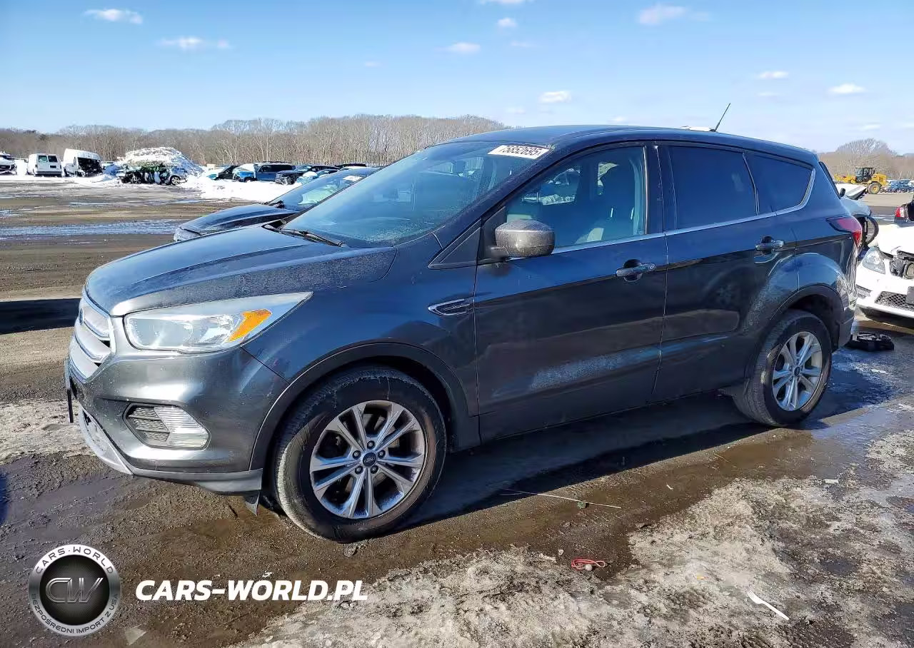2019 Ford Escape Se