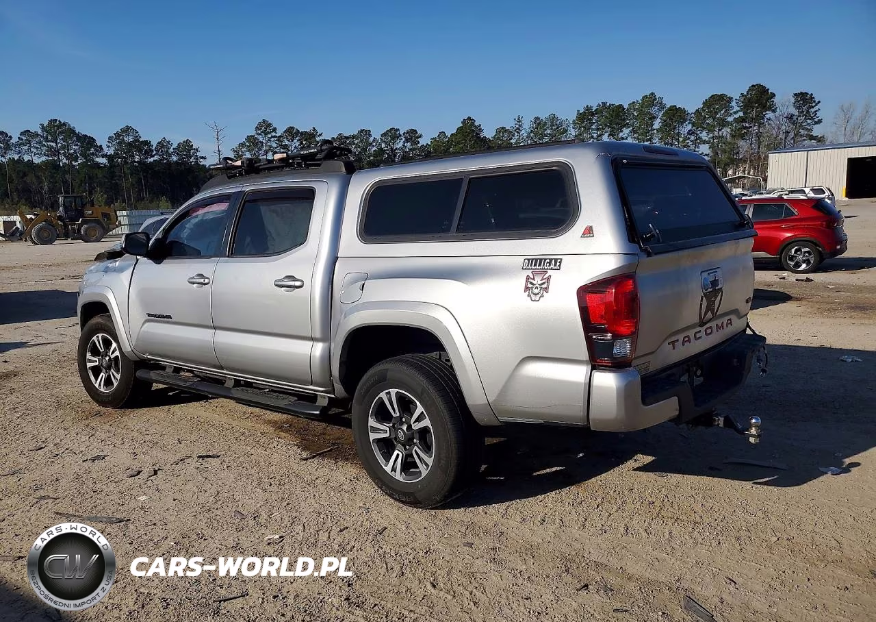 2019 Toyota Tacoma Double Cab VIN:3TMCZ5AN7KM213845 - 2