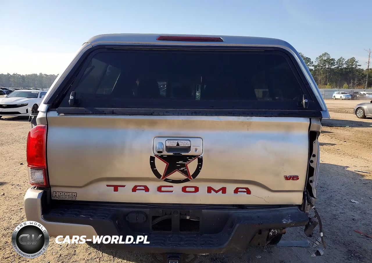 2019 Toyota Tacoma Double Cab VIN:3TMCZ5AN7KM213845 - 6