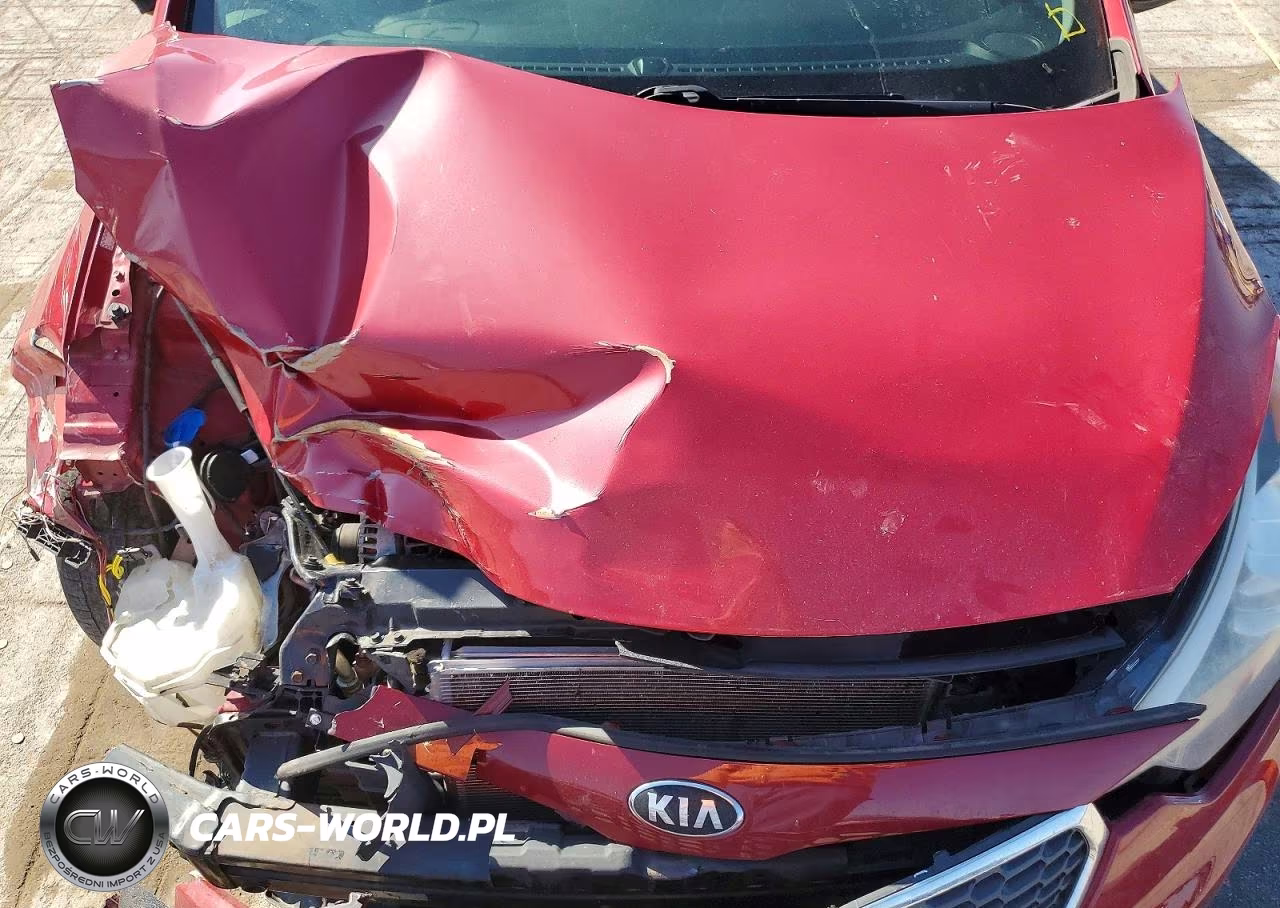 2016 Kia Forte Lx VIN:KNAFK4A60G5564336 - 11
