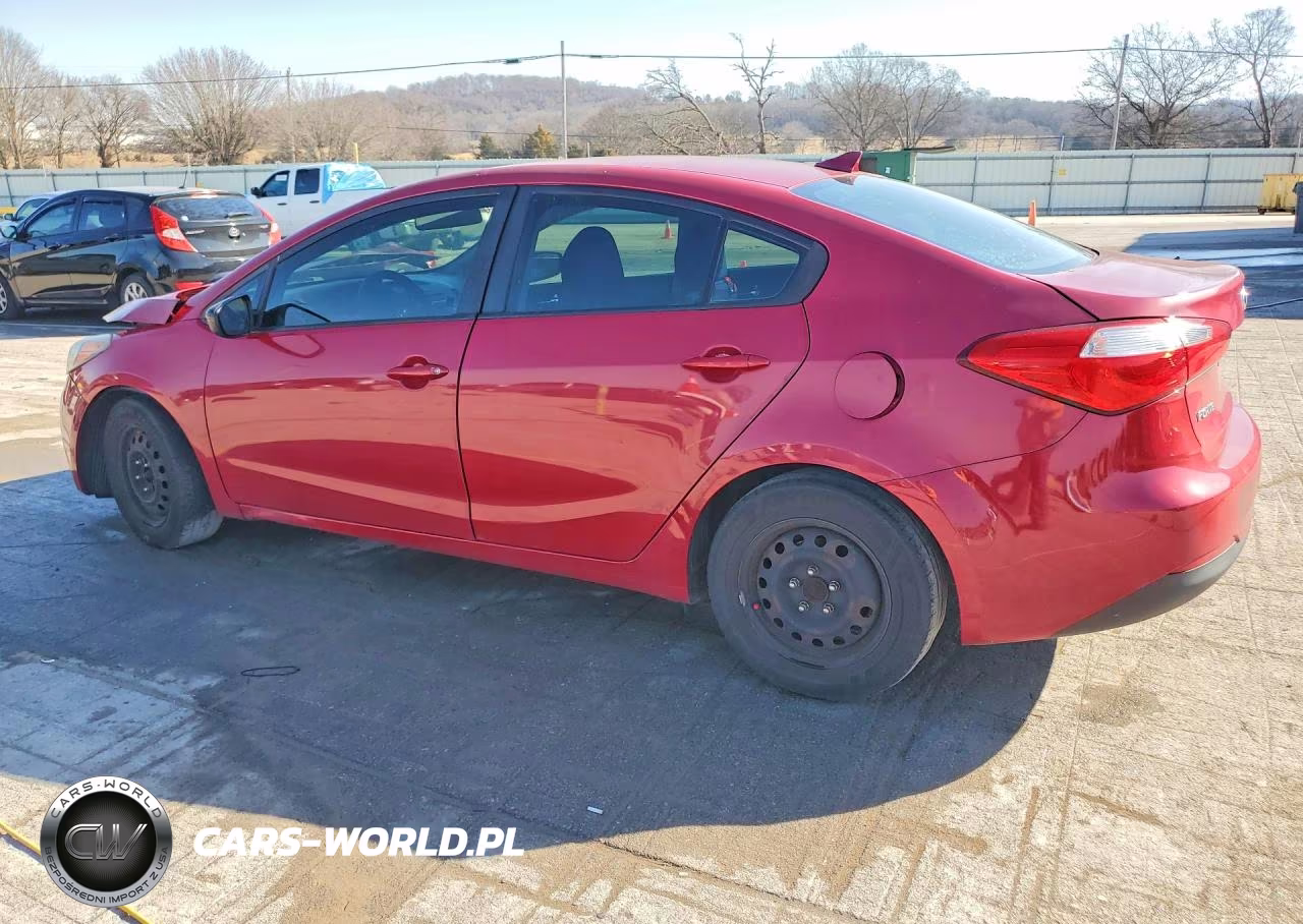 2016 Kia Forte Lx VIN:KNAFK4A60G5564336 - 2
