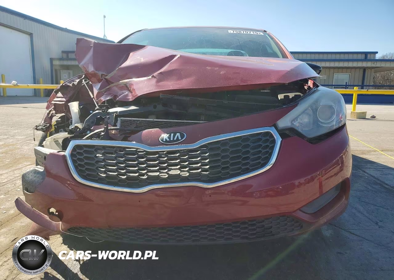 2016 Kia Forte Lx VIN:KNAFK4A60G5564336 - 5