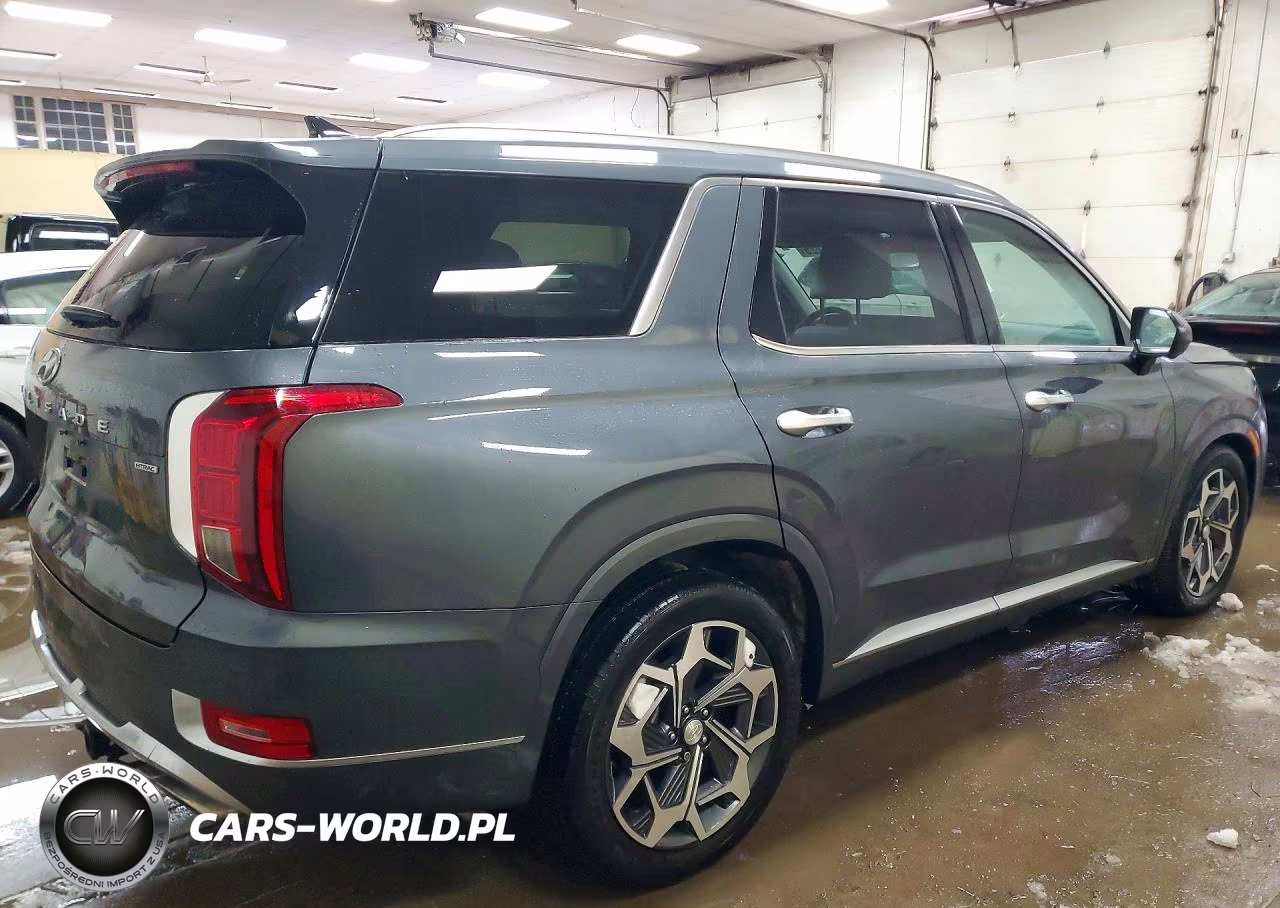 2021 Hyundai Palisade Limited VIN:KM8R5DHE3MU198891 - 3