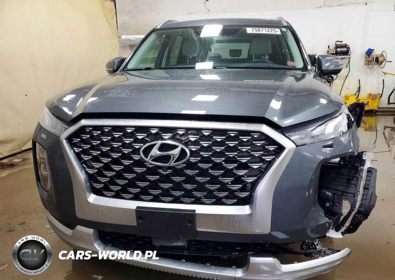 2021 Hyundai Palisade Limited VIN:KM8R5DHE3MU198891 - 5
