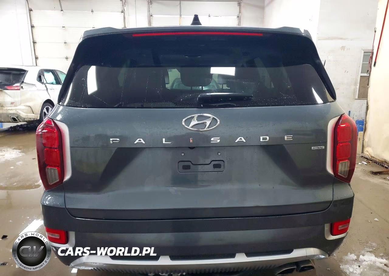 2021 Hyundai Palisade Limited VIN:KM8R5DHE3MU198891 - 6