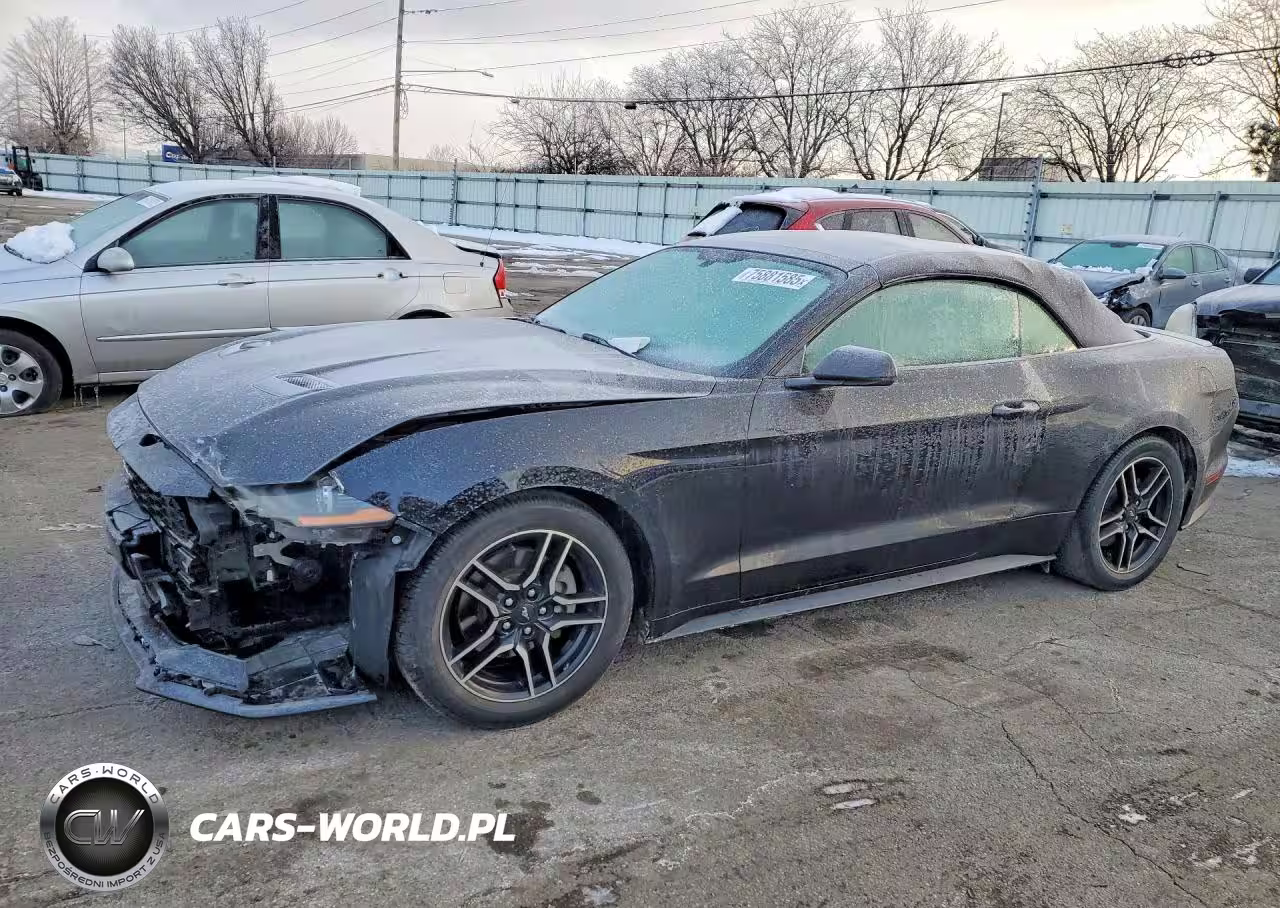 2019 Ford Mustang