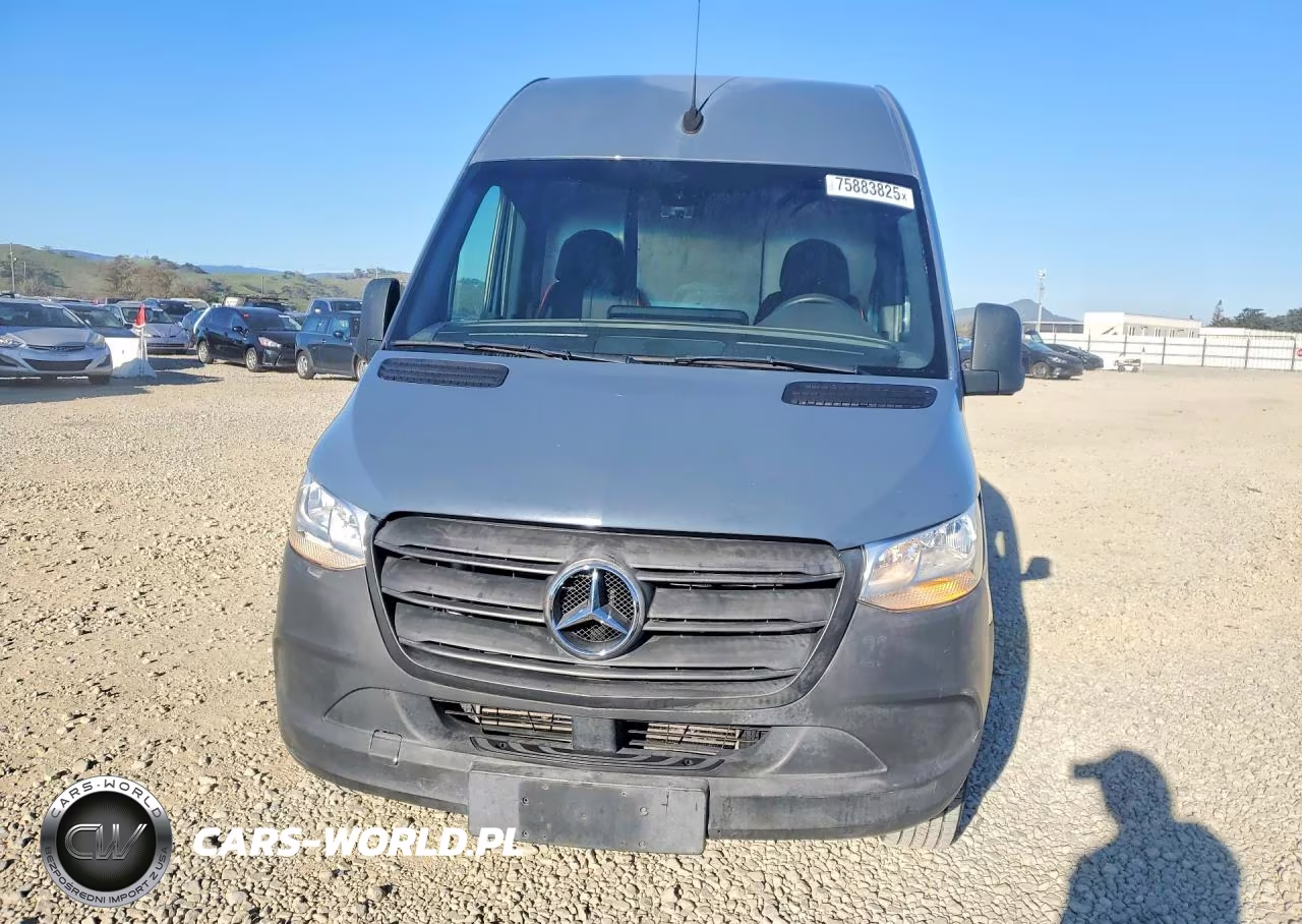 2019 Mercedes Benz Sprinter 2500 Delivery Van VIN:WD4PF1CD3KP141193 - 5