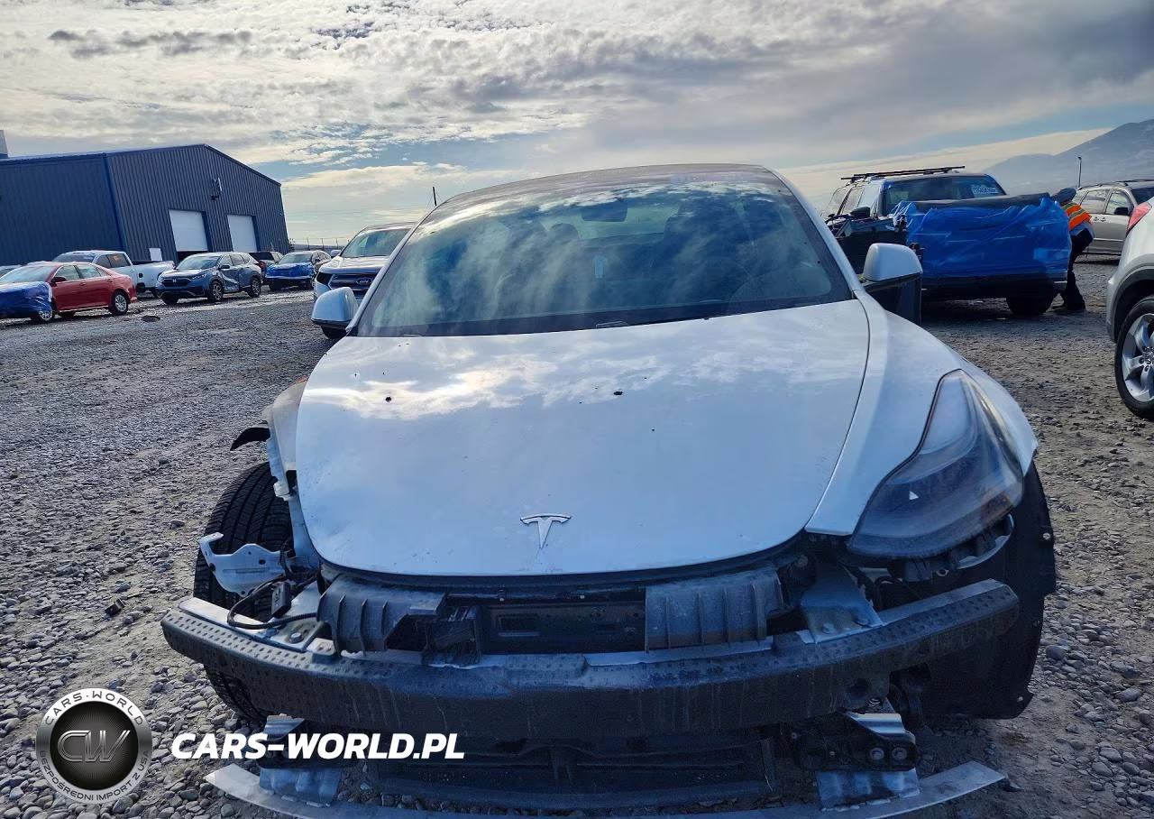 2021 Tesla Model 3 VIN:5YJ3E1EB5MF079803 - 5