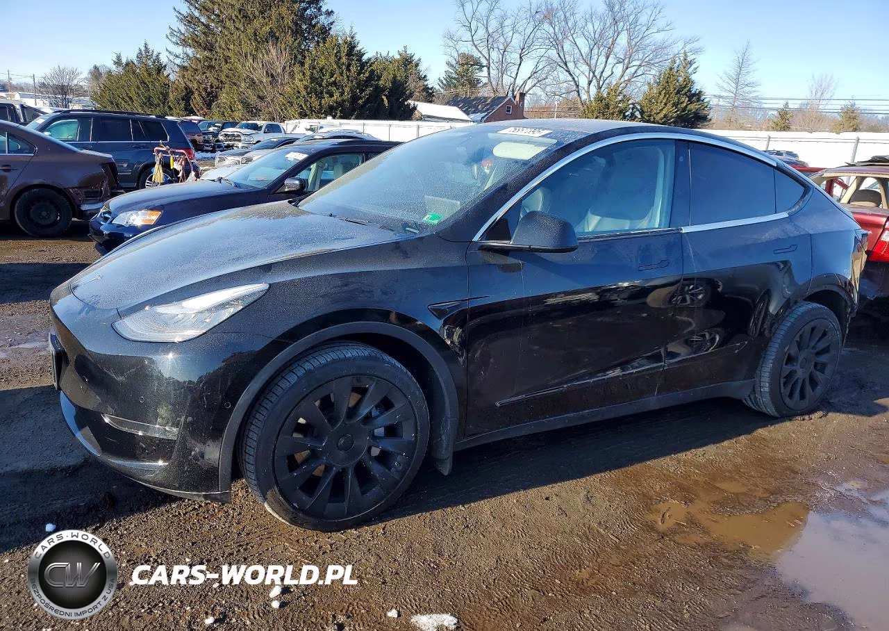 2020 Tesla Model Y