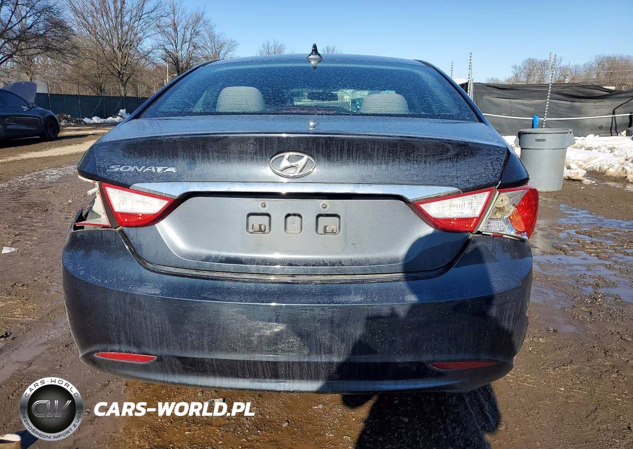 2011 Hyundai Sonata Gls VIN:5NPEB4AC1BH295115 - 6