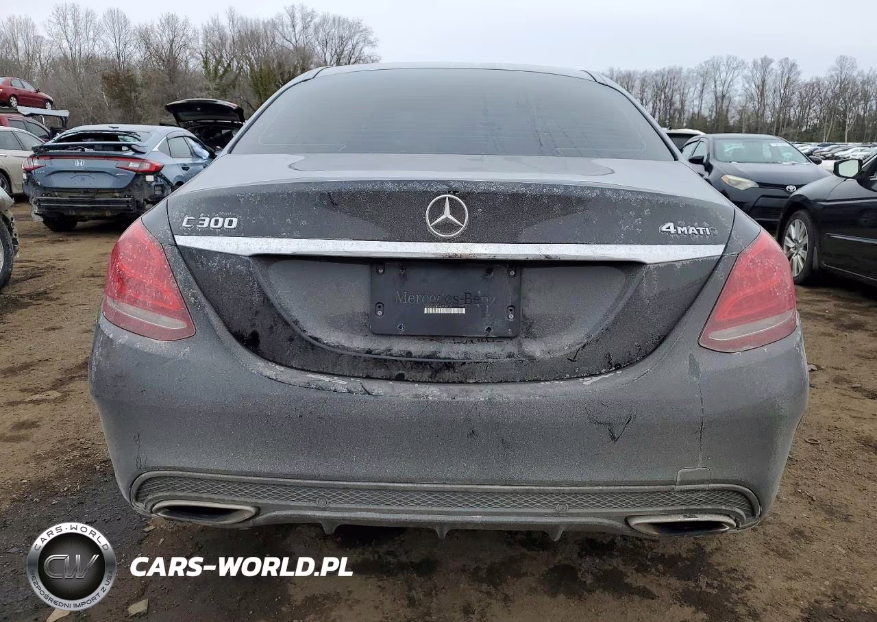 2017 Mercedes-Benz C 300 4Matic VIN:55SWF4KB5HU205548 - 6