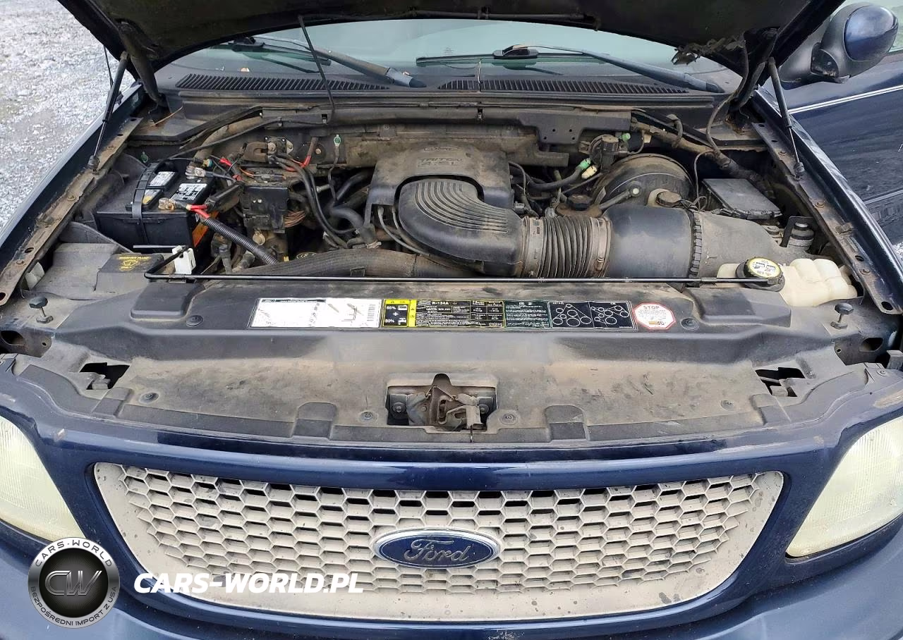 2002 Ford F150 VIN:1FTRX17W22NB57005 - 11