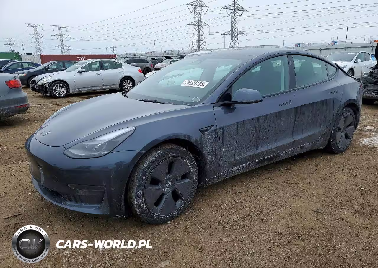 2023 Tesla Model 3