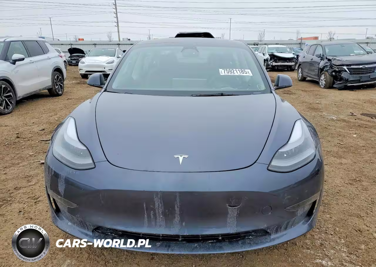 2023 Tesla Model 3 VIN:5YJ3E1EA2PF613996 - 5